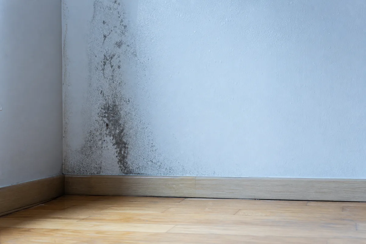 Angle de mur intérieur marqué par une tache sombre de moisissure due à la condensation