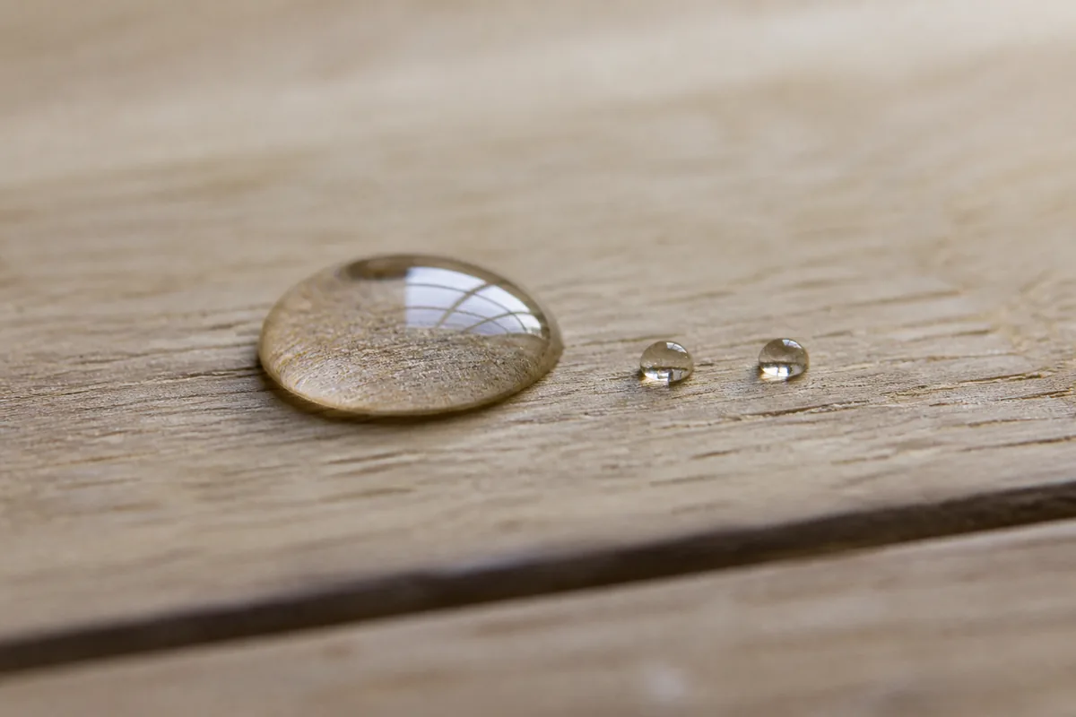 Lames de parquet en chêne clair traversées par une lumière rasante de fin de journée